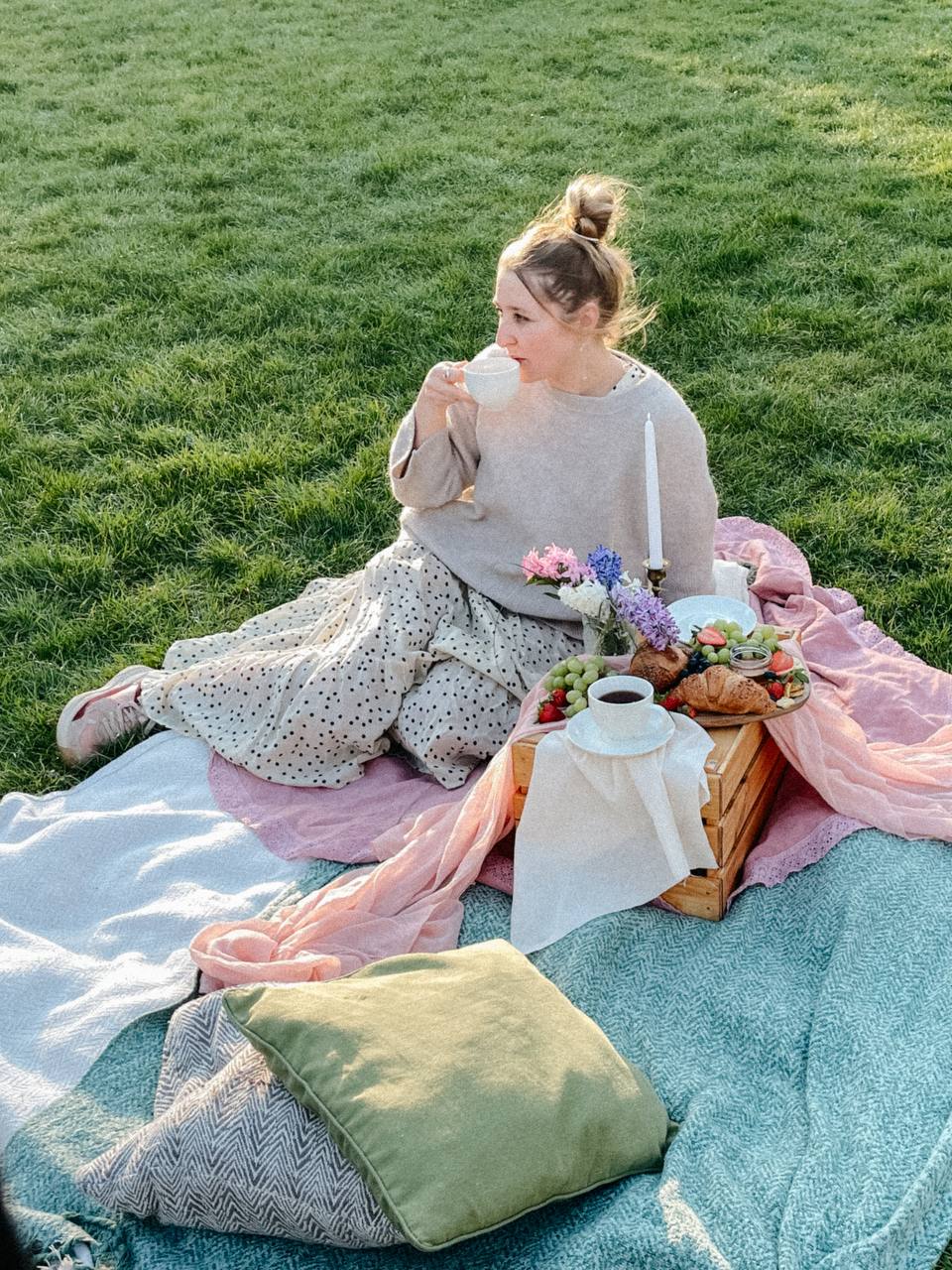 Picnic setup